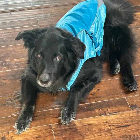 Dog’s North Country Coat. - Picture 2 of 7